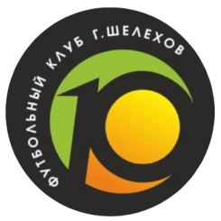 Десятка (Шелехов)
