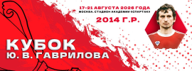 Кубок Гаврилова